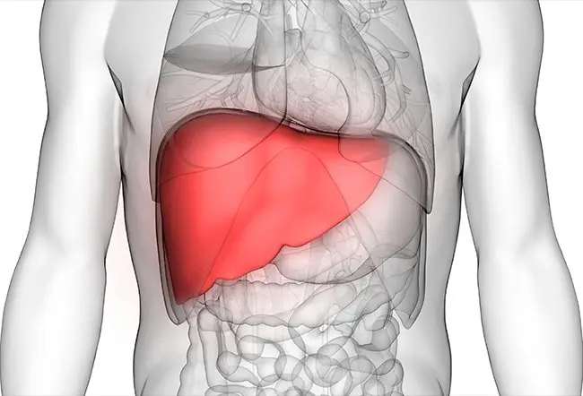 Liver Enlargement Ayurvedic Treatment
