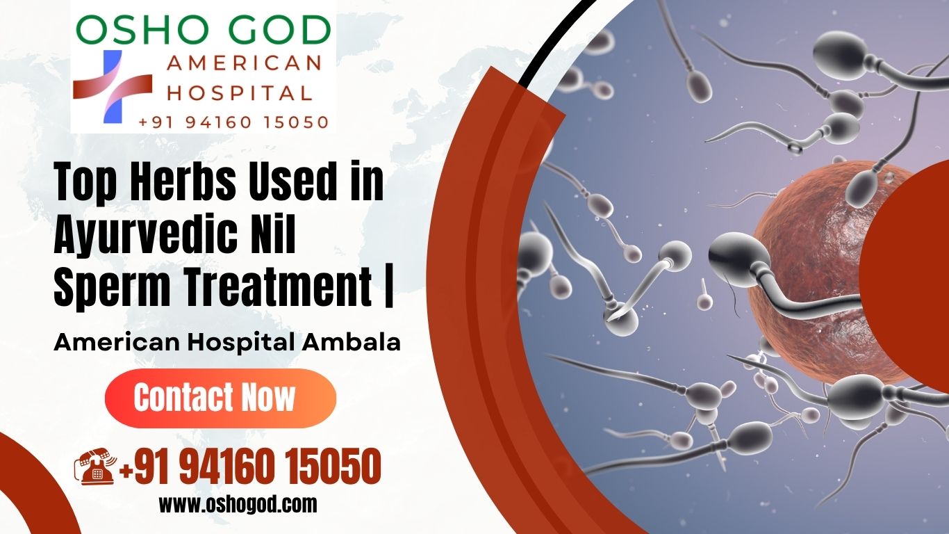 Top Herbs Used in Ayurvedic Nil Sperm Treatment